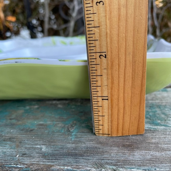 Michel Design Works Avacado melamine LARGE platter serving tray - Picture 4 of 10